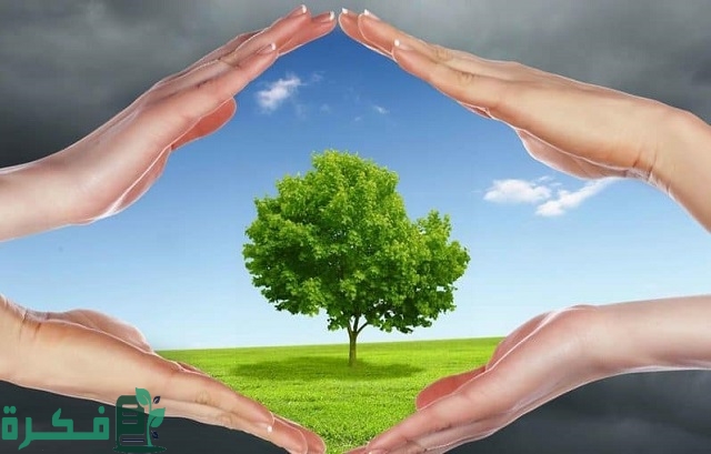 خبر صحفي قصير عن البيئة