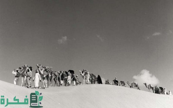 اصل قبيلة الكبيسات ورمز القبيلة