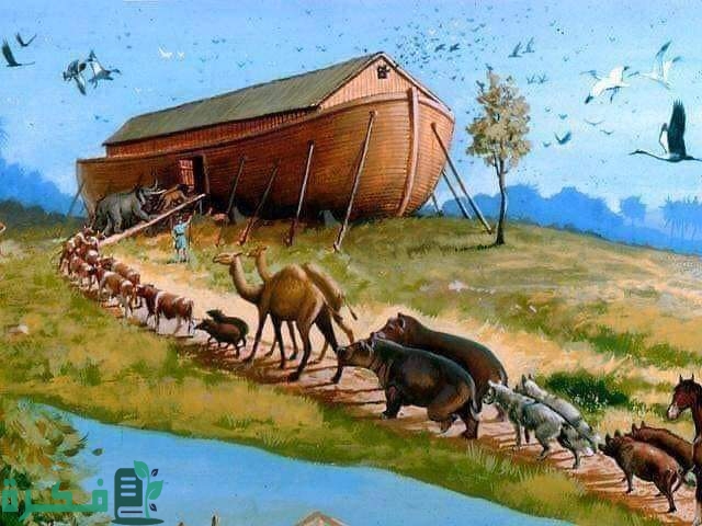 الحيوان الذي لم يصعد سفينة نوح.