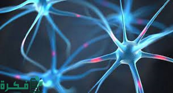 الخاصية التي لا تنطبق على البريونات