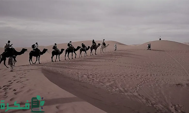 الديحاني وش يرجع وماذا تنتمي تلك العائلة