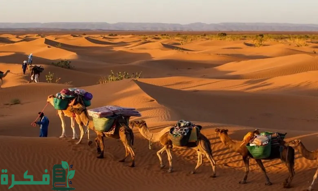 السواط وش يرجع هل تنتمي إلى قبيلة عتيبة