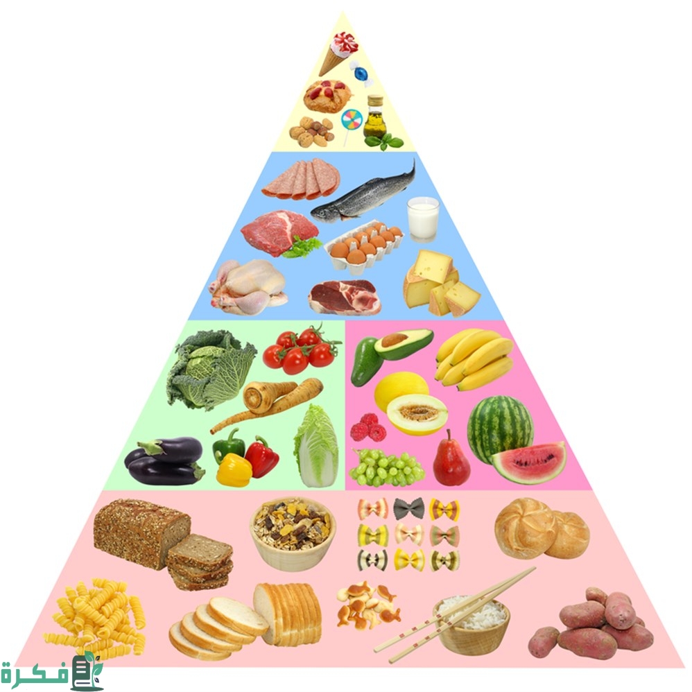 موضوع تعبير عن الهرم الغذائي بالعناصر 4 الهرم الغذائي للحوامل