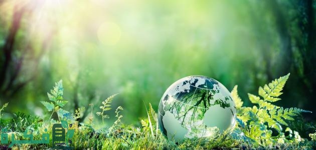 بحث عن أهمية التنوع البيولوجي