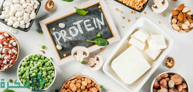 بحث عن البروتينات في الكيمياء