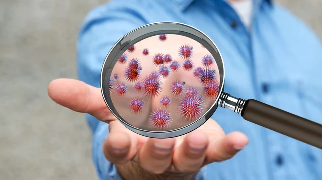 بحث عن الجراثيم 5 بحث عن الجراثيم