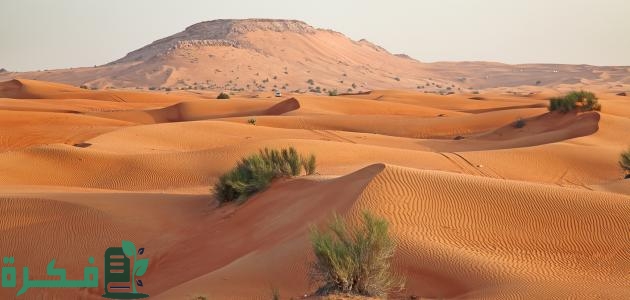 بحث عن تضاريس شبه الجزيرة العربية