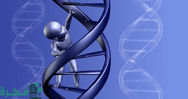 بحث عن علم الوراثة
