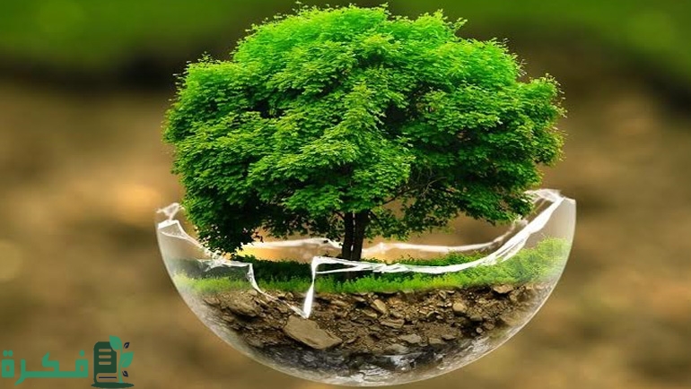 بحث عن نظرية الأنساق الإيكولوجية