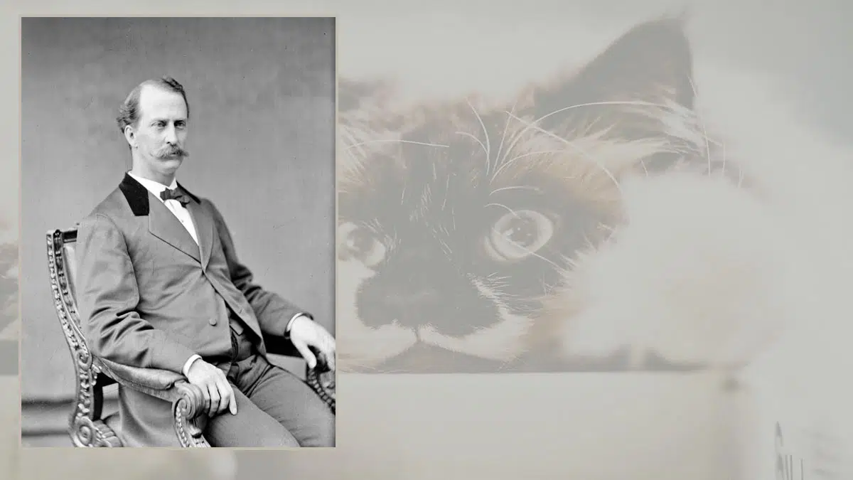 بحث عن نظرية ثورندايك