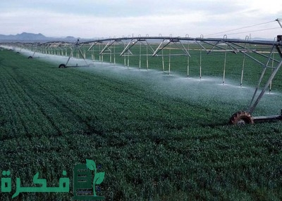 جدول ري القمح بالرش