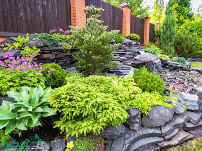 طريقة عمل أحواض زراعة بالمنزل