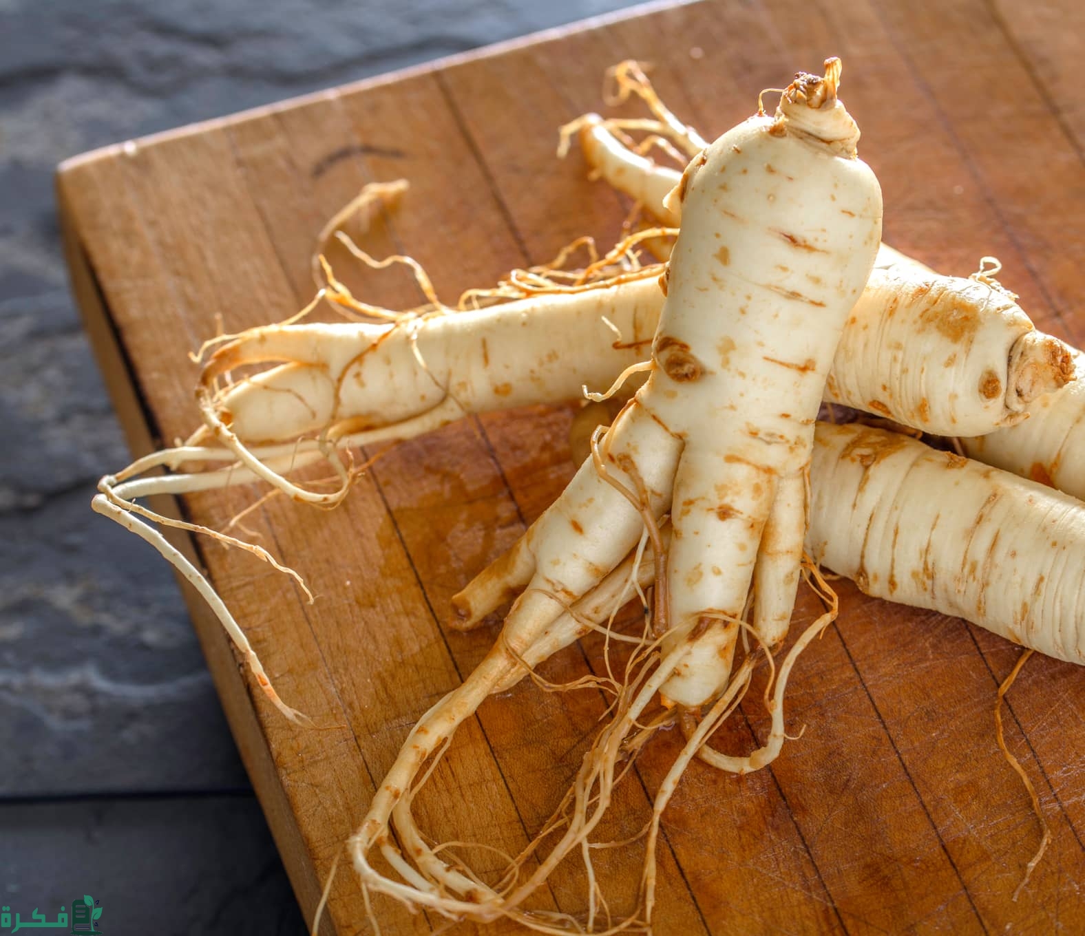 معلومات عن عشبة الجنسنج