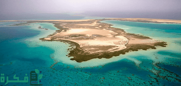 موضوع تعبير عن البيئة الساحلية