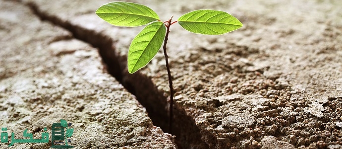 موضوع تعبير عن البيئة الصالحة والبيئة الفاسدة