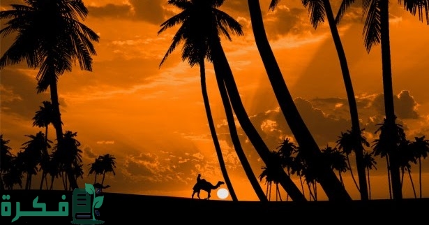 موضوع تعبير عن فن السلويت