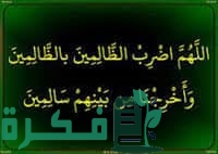 E4229D55 314F 4911 B12A F98A067D879D