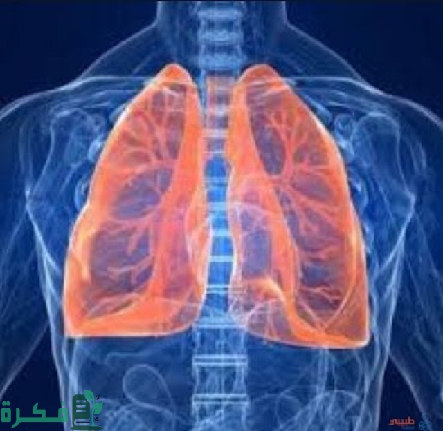 أفضل 5 أعشاب لعلاج التهاب الشعب الهوائية
