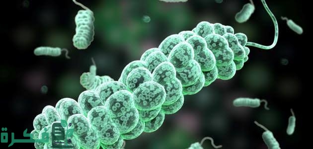 images 2023 04 02T230034.614