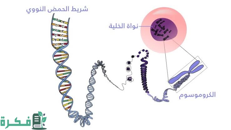 images 2023 04 04T230130.555