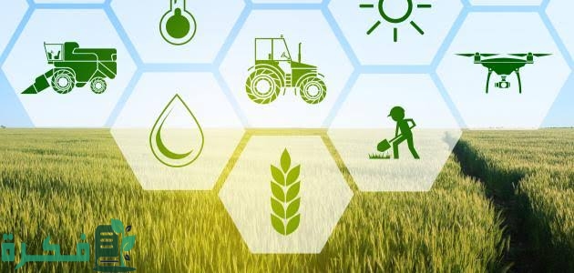 images 2023 04 04T231616.690