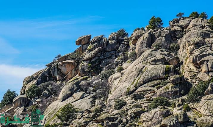 images 2023 04 07T110500.116