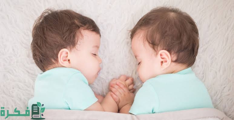 images 2023 04 11T001352.845