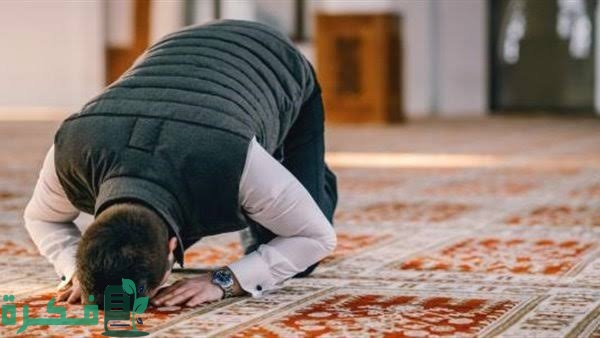 images 2023 04 15T001530.081