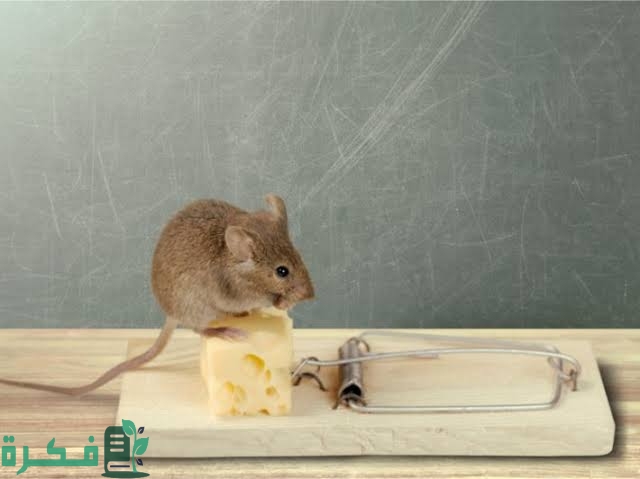 images 2023 04 16T001232.763