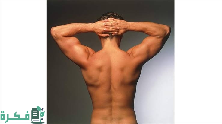 14 تفسير حلم رؤية اخي عاري في المنام 2 images 2023 04 26T232108.605