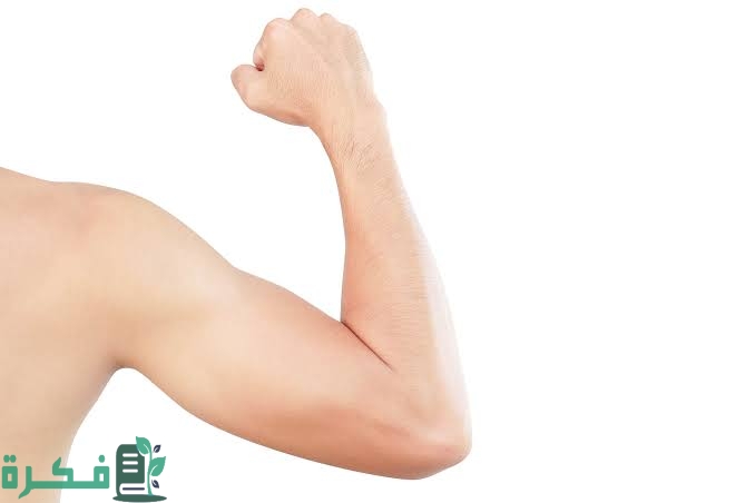 images 2023 04 27T061924.439