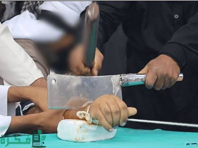 images 2023 04 28T204147.428