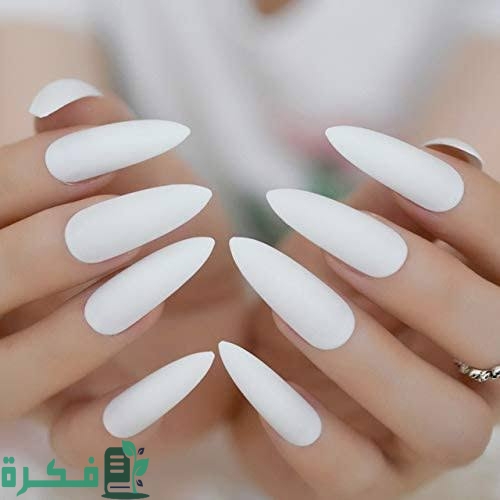 images 2023 04 29T231508.309