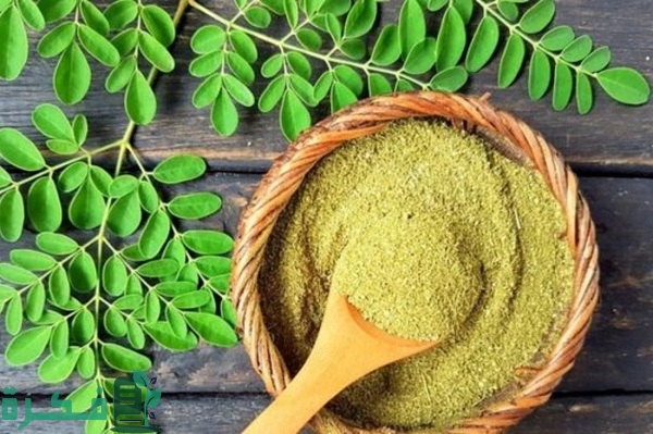 أفضل ماسكات المورينجا للبشرة