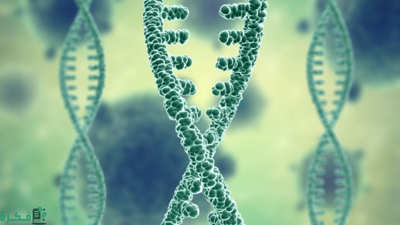 أمثلة على الطفرات الوراثية