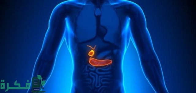 أين تقع المرارة في جسم الإنسان؟