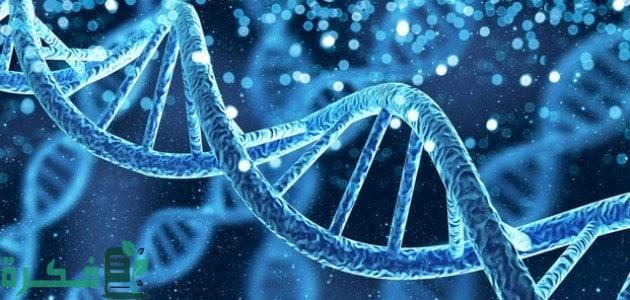 استخدامات البيولوجيا الجزيئية 5 استخدامات البيولوجيا الجزيئية