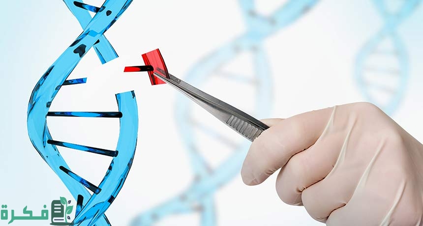 بحث عن المادة الوراثية dna
