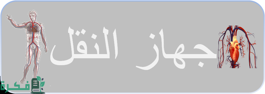 بحث عن جهاز النقل في الإنسان pdf 1 بحث عن جهاز النقل في الإنسان
