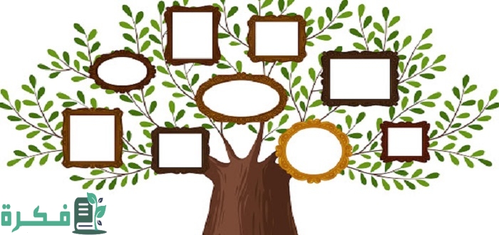 شجرة عائلات مصر سجل الألقاب