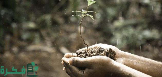 طرق بسيطة لإعادة استخدام مياه الأمطار