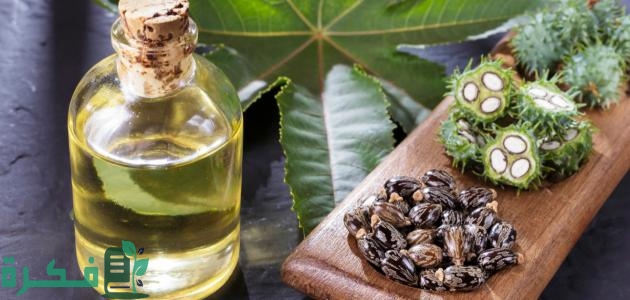 طريقة استخدام زيت الخروع لتكثيف الحواجب ولإنبات الشعر