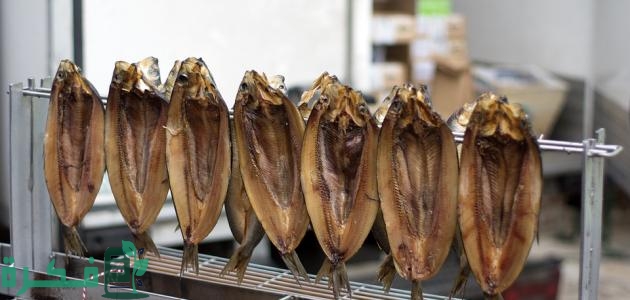 طريقة عمل الرنجة بطعم مميز