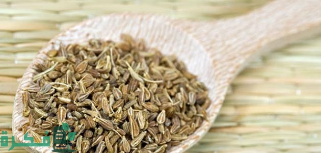 فوائد الشمر للجهاز التنفسي والكحة; أكثر من 18 فائدة 9 فوائد الشمر للجهاز التنفسي