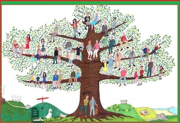 كيفية معرفة شجرة العائلة في الجزائر