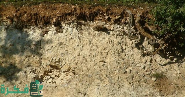 ما هي التربة الكلسية