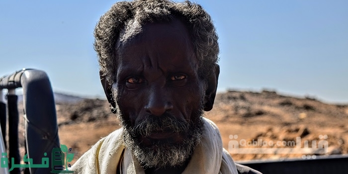 نسب وأصل قبيلة العبابدة في مصر