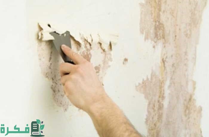 أفكار لتغطية رطوبة الجدران