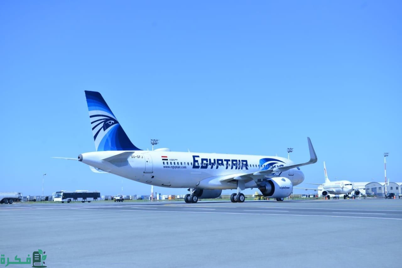 باقات الحجر المؤسسي مصر للطيران