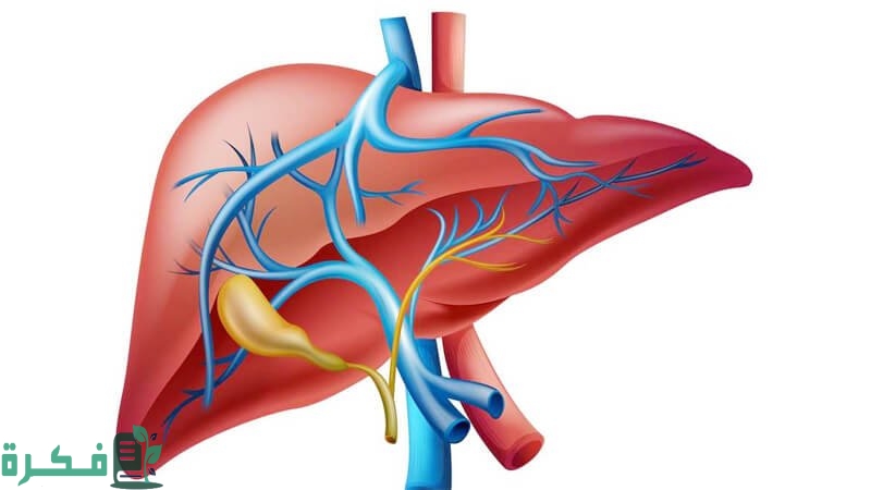 6 manifestations normal rate liver enzymes